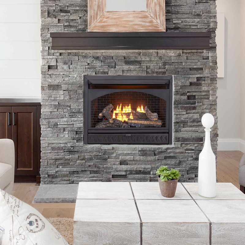 Heating Vent Free Natural Gas/Propane Fireplace Insert & Reviews